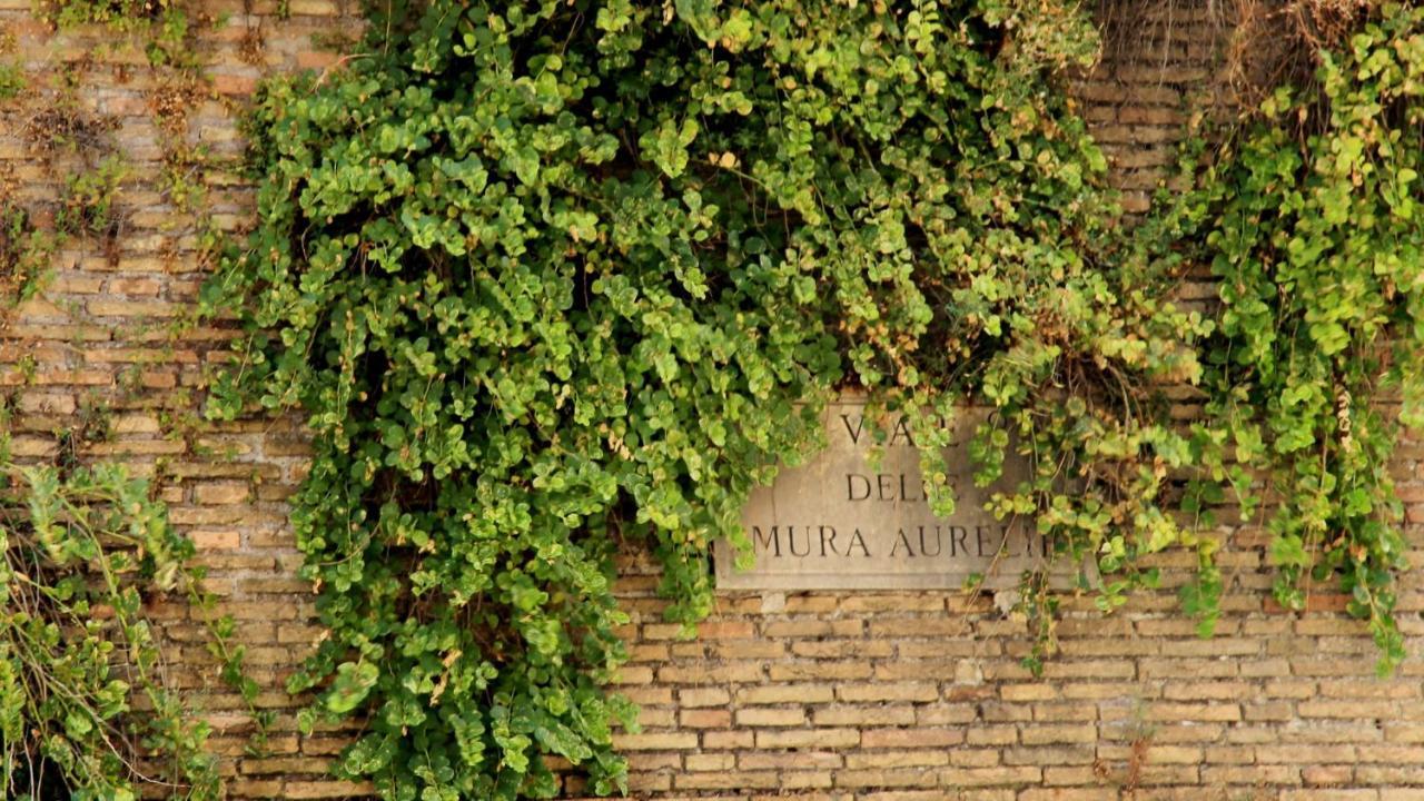 Vista San Pietro Apartamento Roma